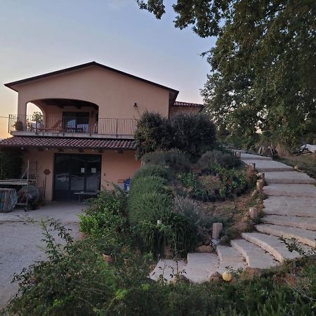 만시아노 La Residenza Di Campagna 게스트하우스 외부 사진