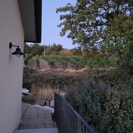만시아노 La Residenza Di Campagna 게스트하우스 외부 사진