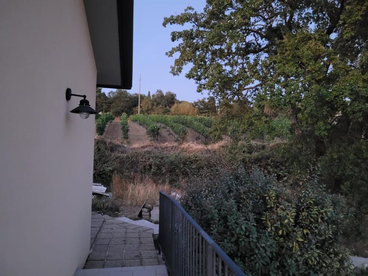 만시아노 La Residenza Di Campagna 게스트하우스 외부 사진