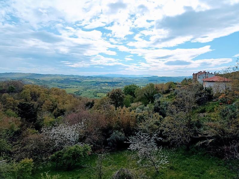 만시아노 La Residenza Di Campagna 게스트하우스 외부 사진